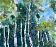 Birketræerne lyser op. Akvarel, Akvarel, format: 42x29 cm pris 2800,-
